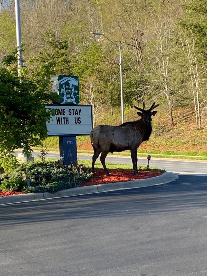 Smoky Mountain Inn & Suites Cherokee Esterno foto